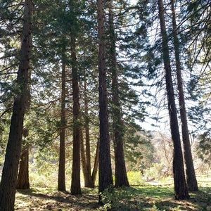 Meet your Posher, Julianna